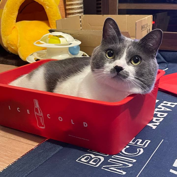 B92b33e2 151c 4bb1 8e99 afeab275aa94 1699950939525