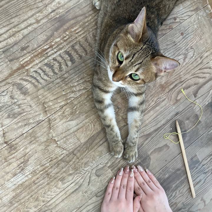 B92b7dbe ec1f 4406 bc0d 1c5657121524 1723976922850