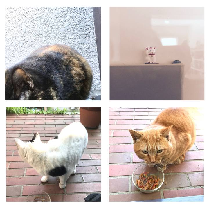 B92b8a8d c7b4 4751 ba47 92e17628c1b7 1641695592525