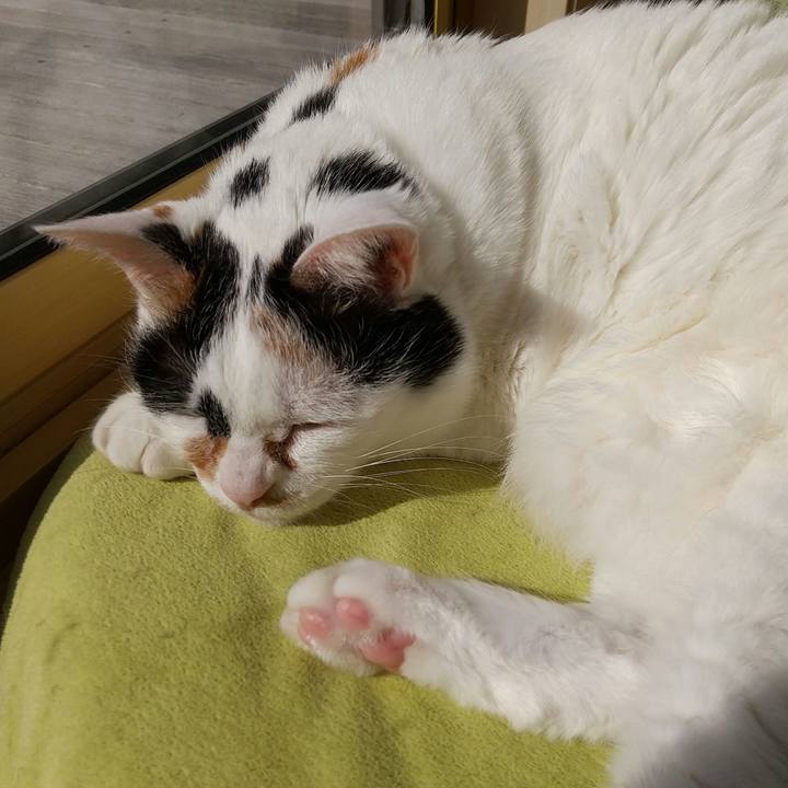 B92ba505 c073 4ed0 9d2a 19958aa9ee2e 1646042332223