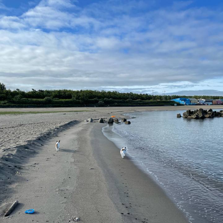 B92bb707 1f50 4a88 95cf da107b344c90 1630540482774