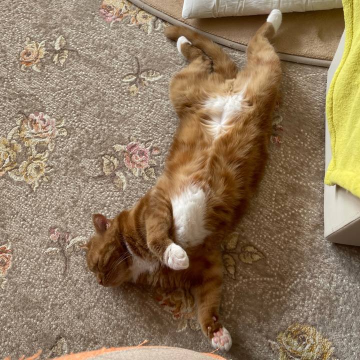 B92bcf3b b40e 430c 8e3b 9c6f50531ad3 1627785424262