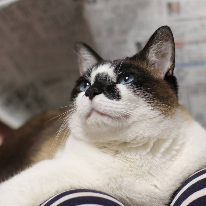 B92c5df7 4c24 4b74 b7f4 12db11cce2c1 1523266411246