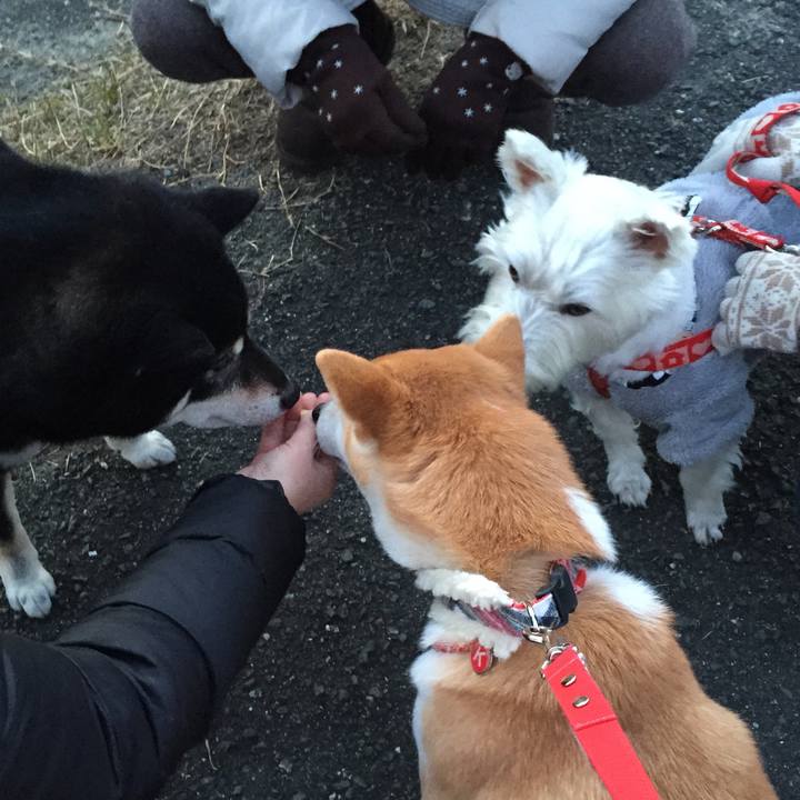 B92c69e3 d678 466e b18e 573baf9fc379 1518310685339