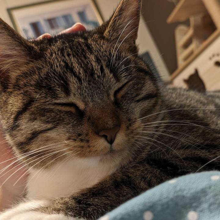 B92c71ad f03f 477b a451 700b78f8ea33 1716213754000