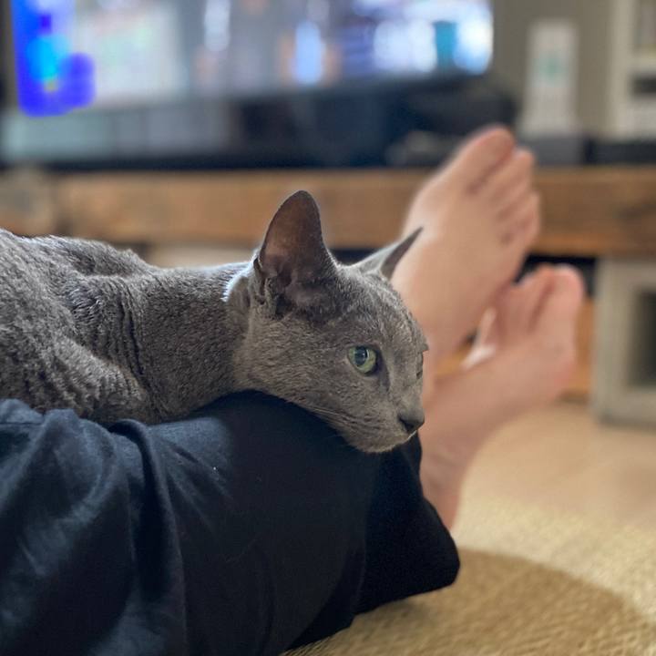 B92c851a c3c4 48f3 92e7 d7eb0c3d65d2 1594082735358