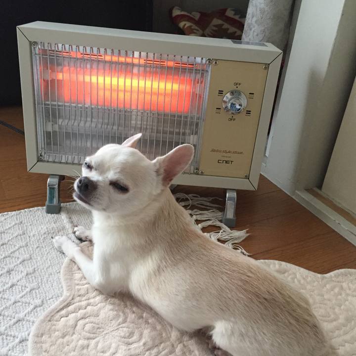 B92c9066 bda8 40ee 9ed7 a5fe1a4deda7 1516489775266