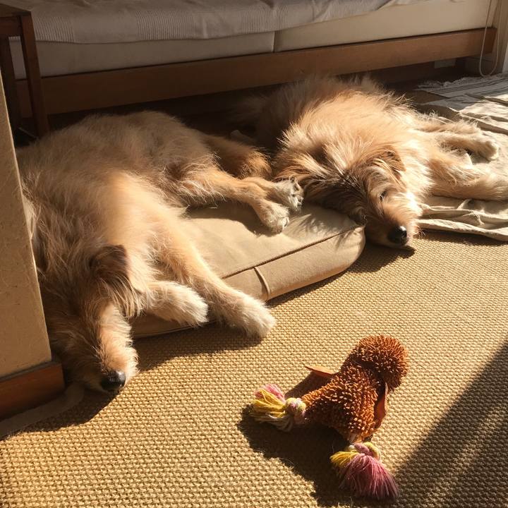 B92ca8f8 29f2 4354 8451 147596060e58 1551744374535