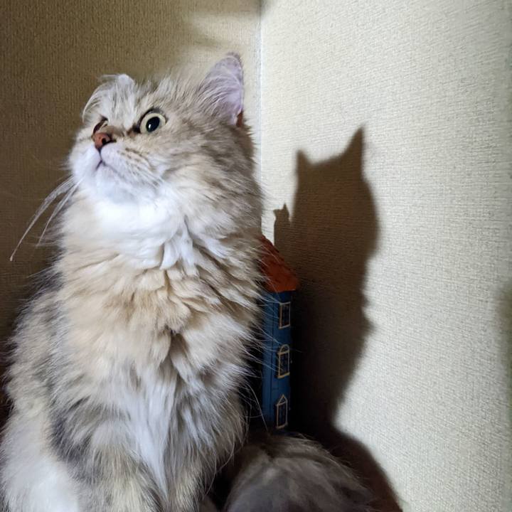 B92cc418 5abc 4e9b bfd9 764b87c98780 1656904135266