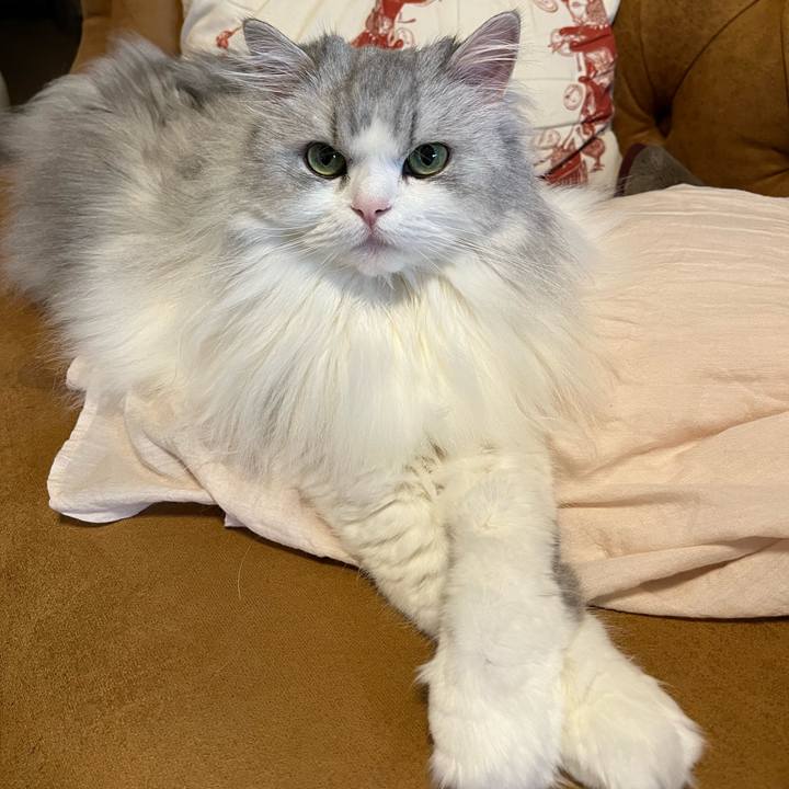 B92cc98c 7a61 4416 acd3 fde8326863a5 1665309993230