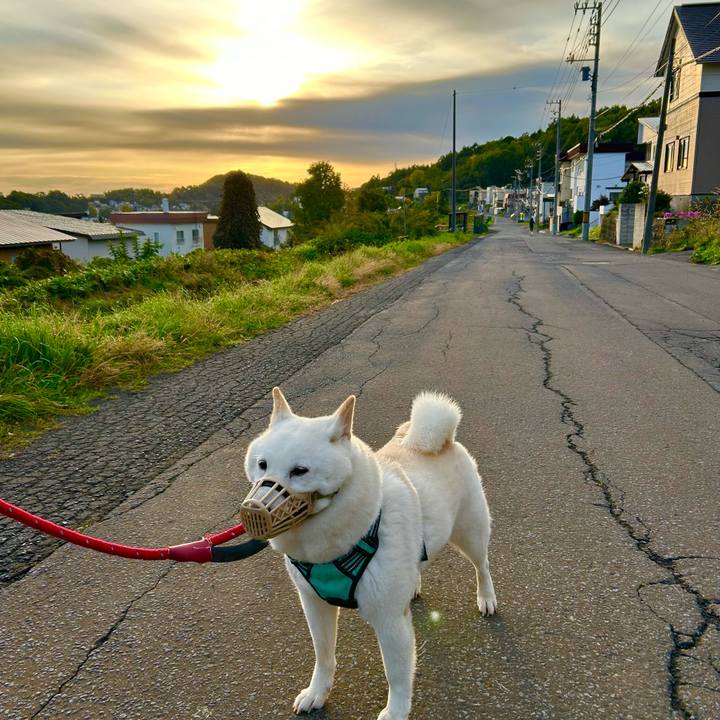 B92d09fa c31d 4e6c 8ef5 d89f7ba58fe2 1696371948057