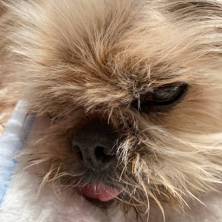 B92d2a47 4c1a 42e4 9a85 0d4a8afb73e0 1619914285055