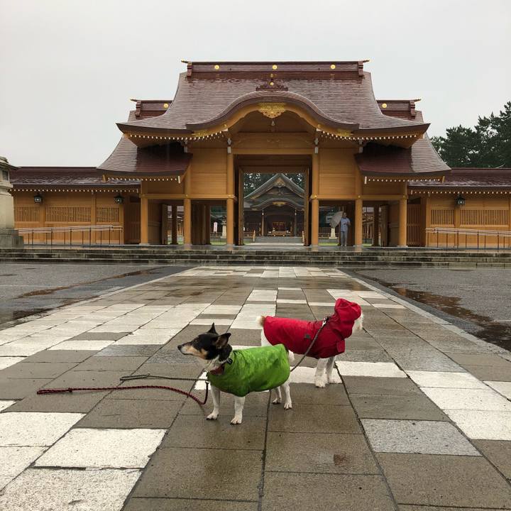 B92d4594 61f9 4e98 8572 93d22da7ab53 1536971549097