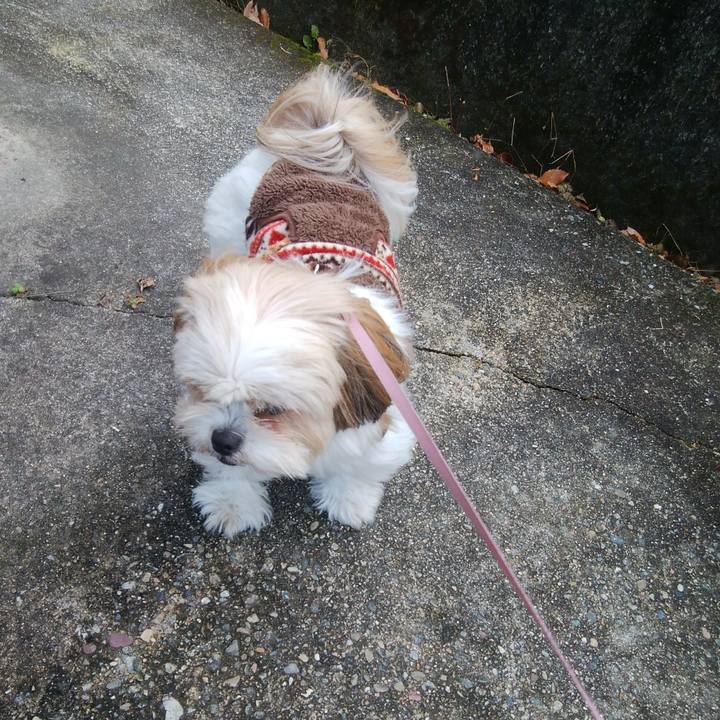 B92d8bec 37bf 4a8b 9ce4 6456165ba02c 1512961740138