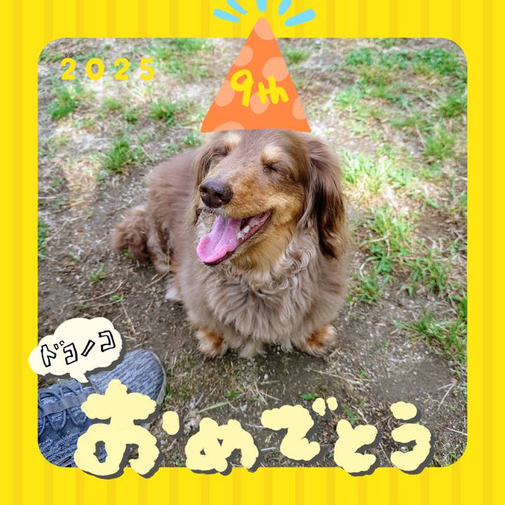 B92dedc7 46c0 4328 89e0 cd2d6f64693a 1749096189698