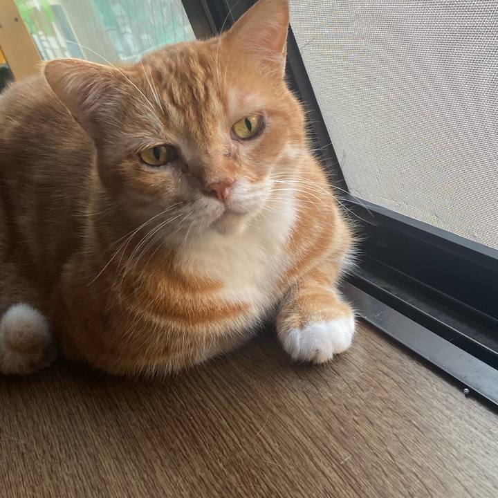 B92e03ed f4aa 4d2a acf8 d50a1196ddc0 1624309963110