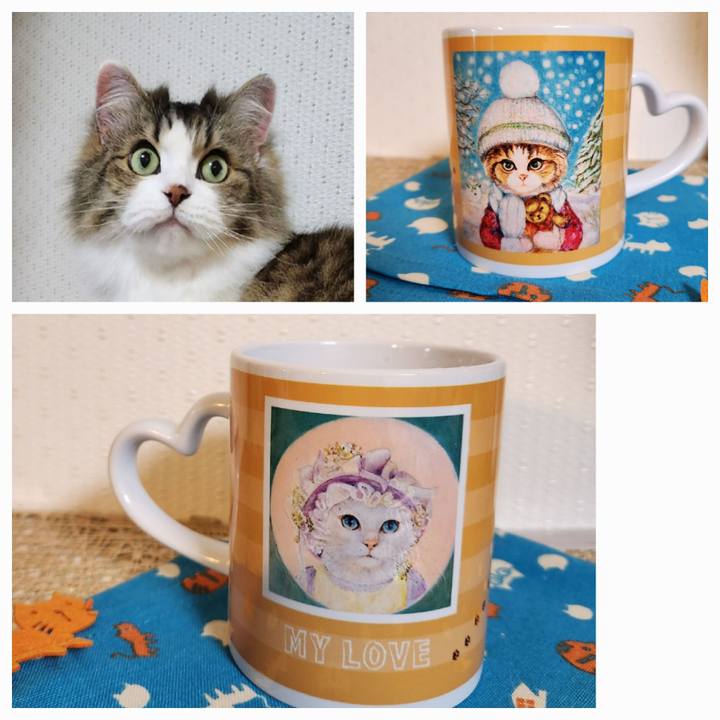 B92e33ae 31e4 4387 8d32 943a868dd38b 1709034631105