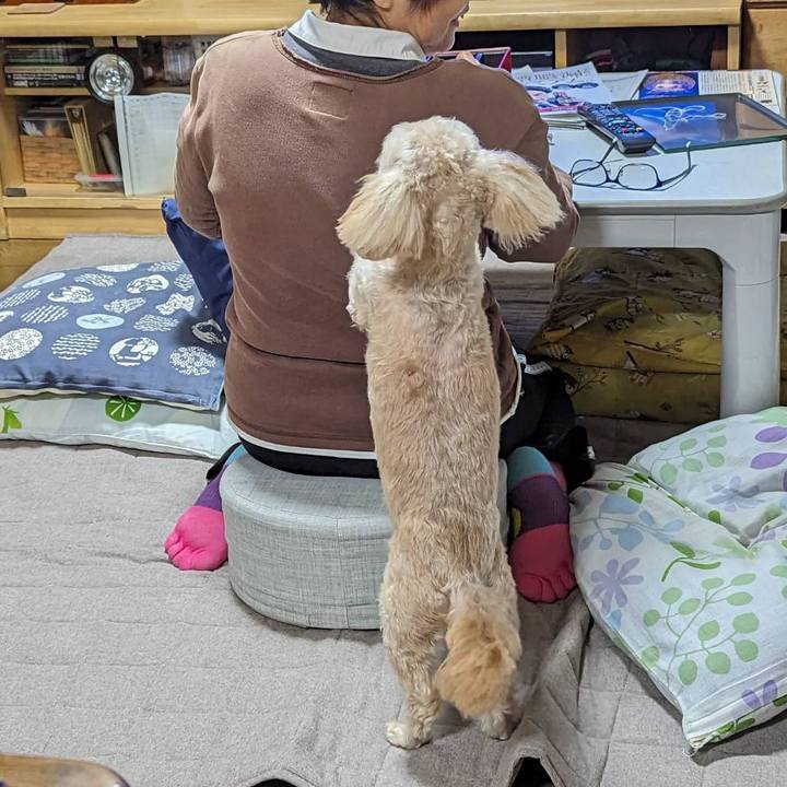 B92e3859 96d4 45a7 9951 28ac7086a8a7 1698666353098