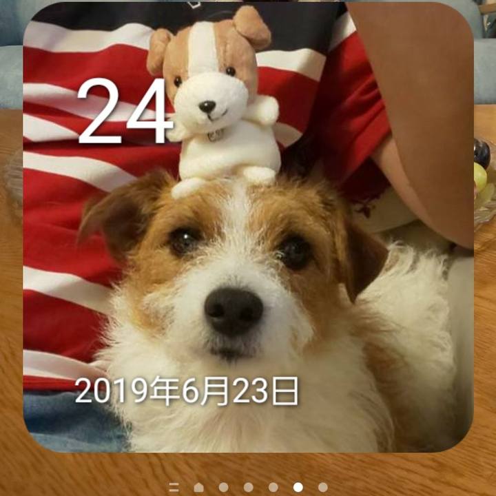 B92e43d8 1af7 4841 9c34 862f01f4664e 1656043468823