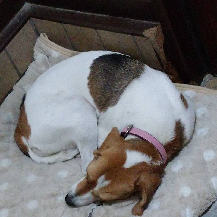 B92e4977 4146 4402 a62c bc9ff6fdd1f0 1575901276556