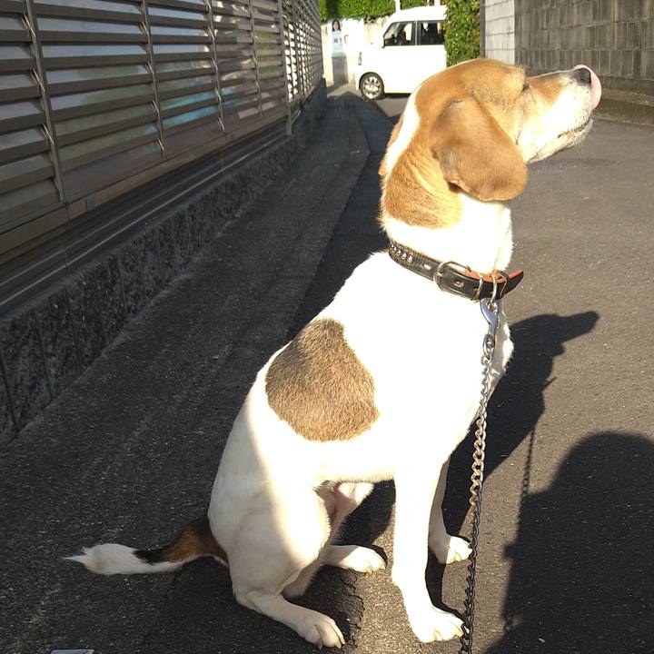 B92e4f46 0b3f 4b67 ac61 98638227097d 1651470809490