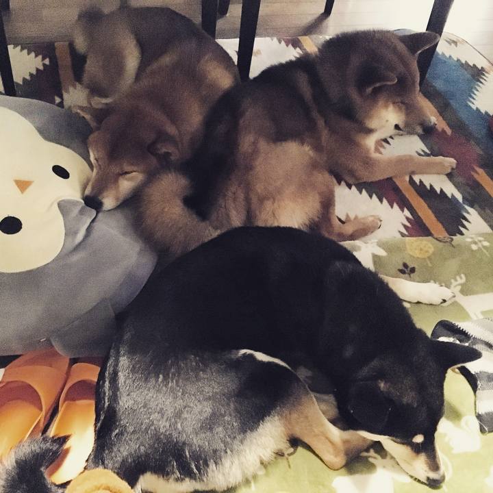 B92e58ab 1bf9 440b bffe e806cfa3bbb8 1518839625591