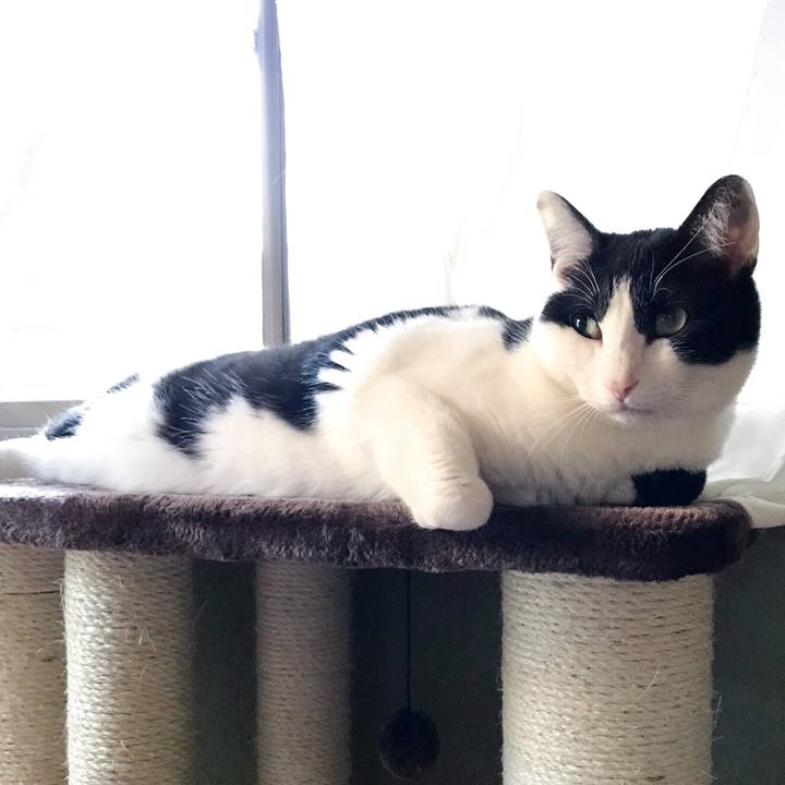 B92e76dc f817 440e bec9 93e2f00f9de3 1524579038775