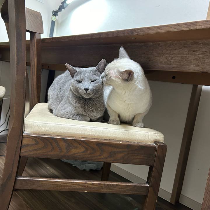 B92e89cd 634a 43aa 896b 10ef65d68b50 1738152486066