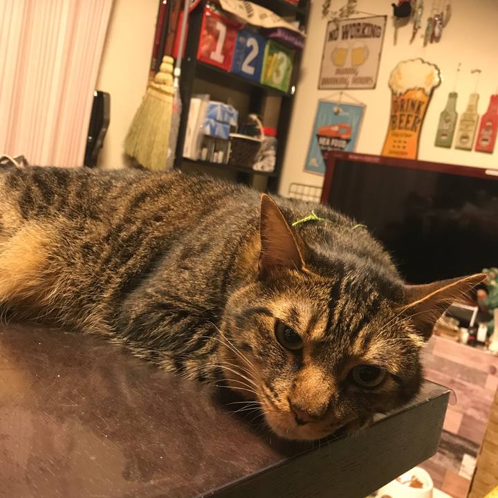 B92ea4e7 a82b 4a83 ad6a ec43b0b9e11b 1622641901767