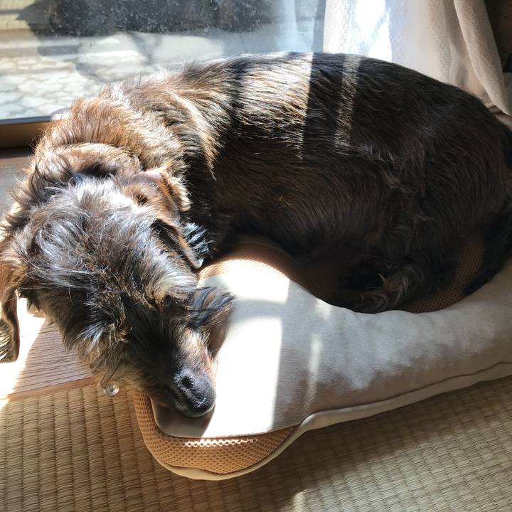 B92eb7cc b9f9 40a7 b216 2d7bc36b2c6e 1520741365604