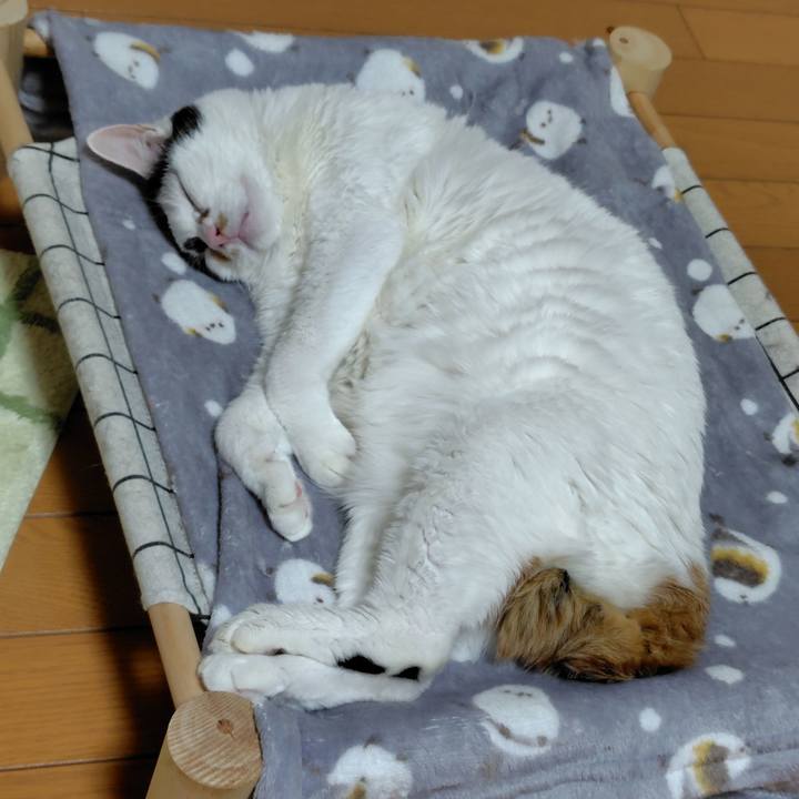 B92ebe94 de5a 47bc 9c45 7fbebad03dc9 1766068863613