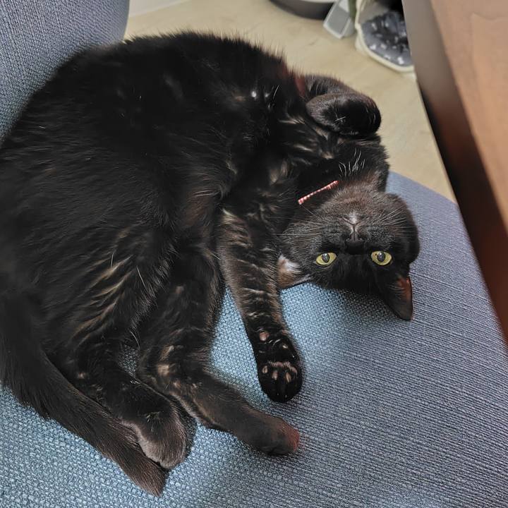 B92ec510 2ed9 4e1f 9299 8cc5f2d34580 1716381073225