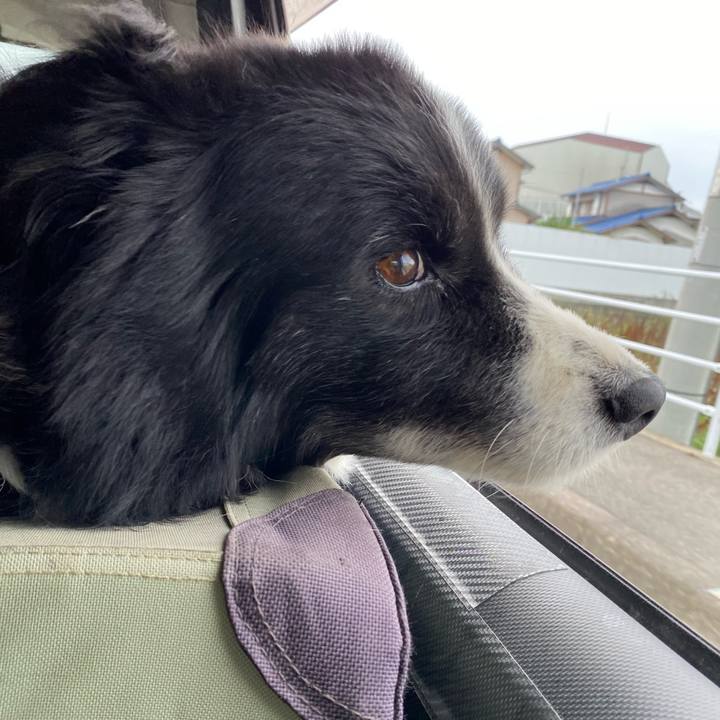 B92f0df7 838c 45da b3dc 7ad03aafa8e1 1686694354985