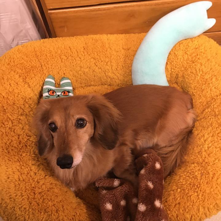 B92f1cf3 2c2d 434b bfe0 878a37b60a19 1612443685122