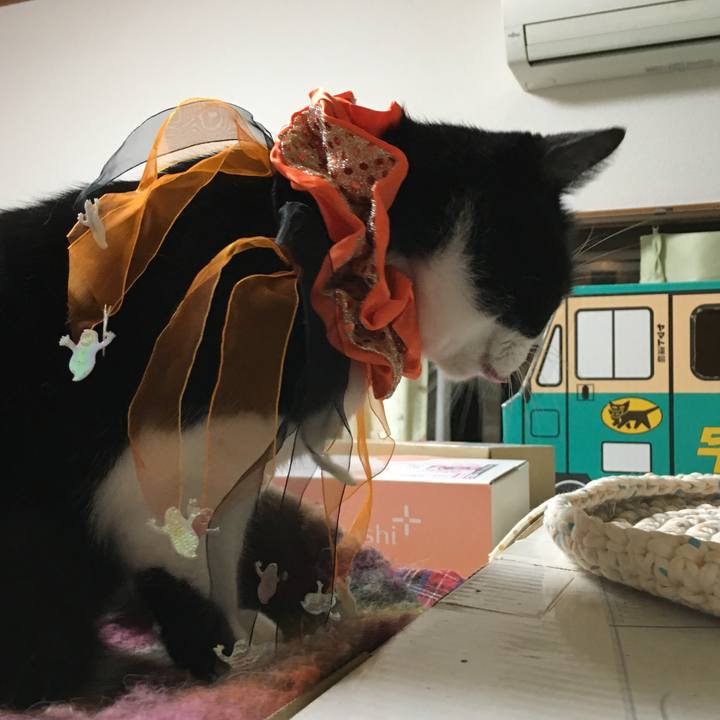 B92f1eee 8f62 4e28 aaf2 88f2da1f81b7 1509606109134