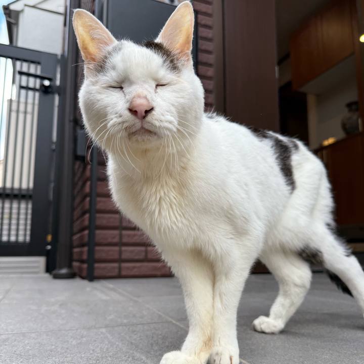 B92f2789 1f82 4e70 88f3 58b462d590b2 1765002573482