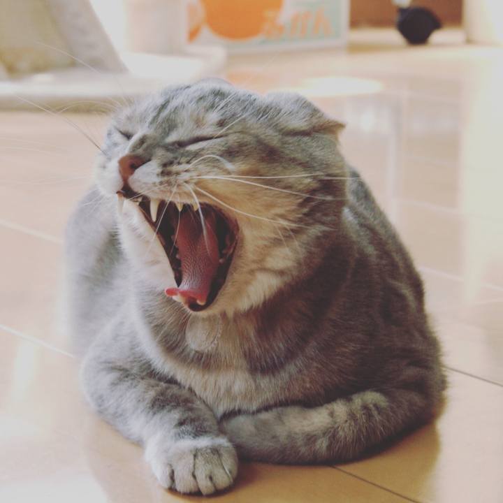 B92f4d03 6eeb 40c6 b759 d74eeb3279f9 1526040418323