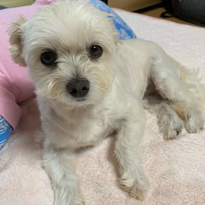 B92f6965 94c5 4768 8ac6 c5ffab2b9229 1631447118253