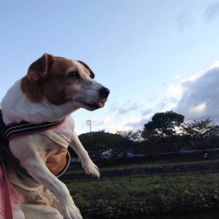 B92fb63b 5a52 4d8f 8613 69739e5bc20e 1761528428463