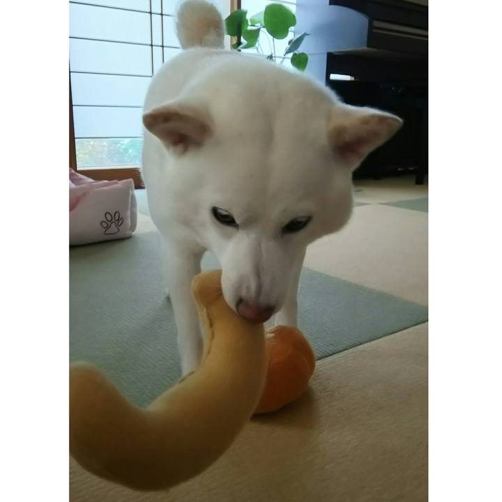 B92fc2a7 6bd0 46b2 afda 54483e62808d 1532134357301