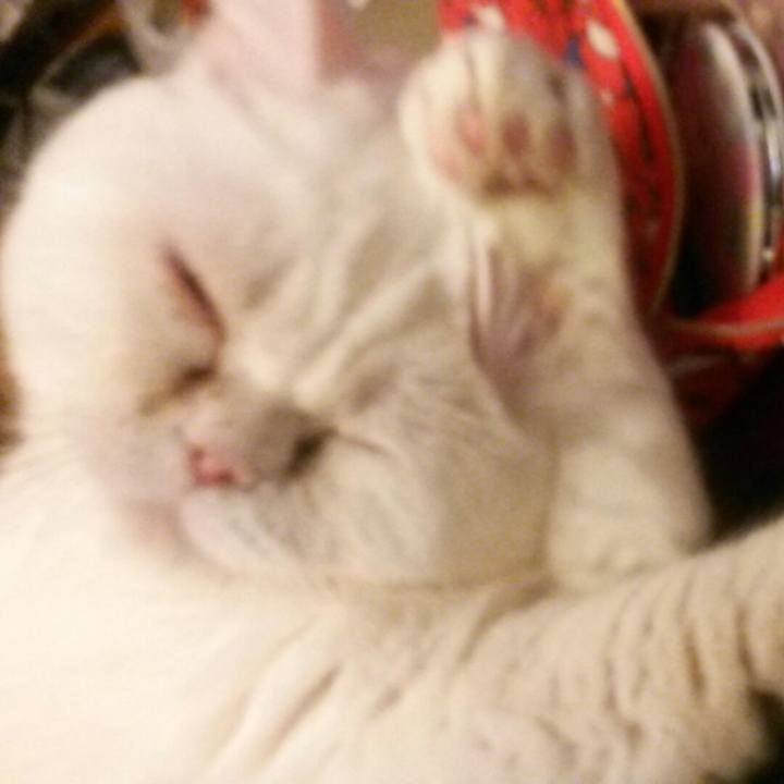 B92fda1d 5c76 4719 b1cf 5ac5b0503e85 1581387065463