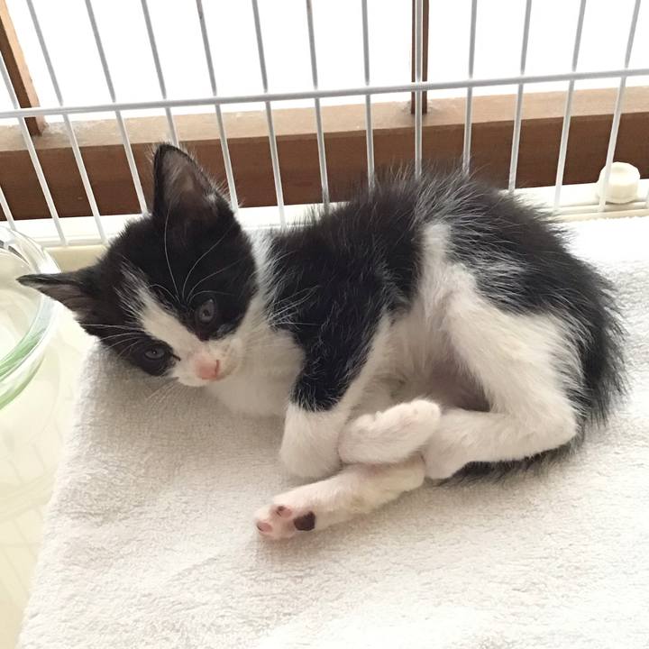 B92fdc3c c7f2 4c77 97a8 614e633f2d09 1622611816160