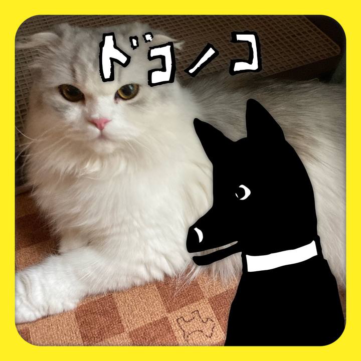 B92fe44e 7d4e 4f8e b330 77100b26bea8 1623586029058