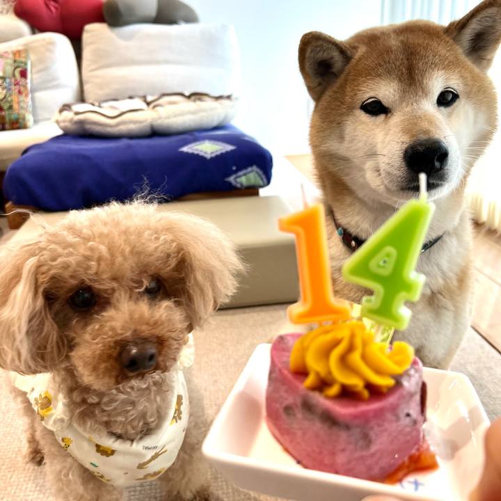 B92fef91 42e3 4cf0 9937 81a91bf3c111 1675819160377