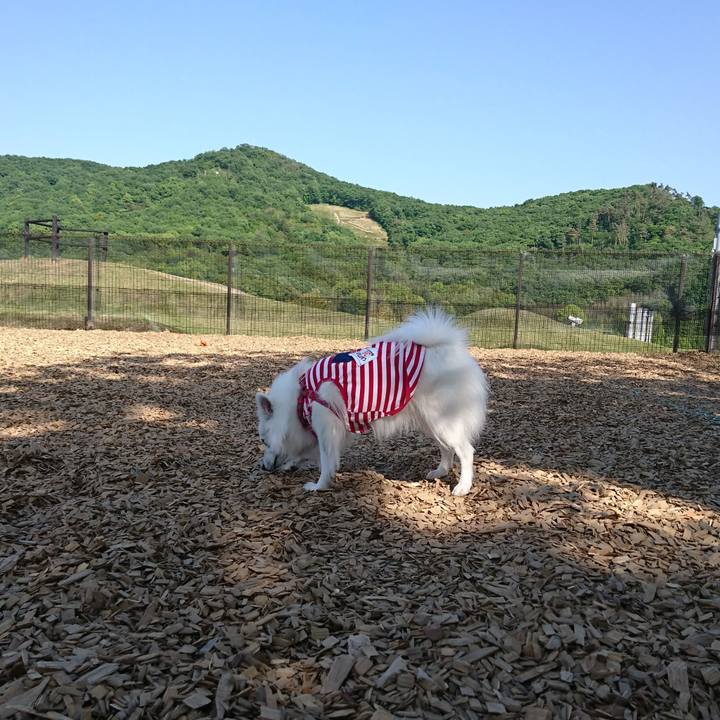 B92ff84b 7aaf 499b bd81 611ae7d9ecba 1524898171437