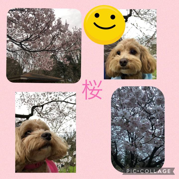 B9300bc6 a4f6 4316 a8be 18f55e031faf 1647777237950