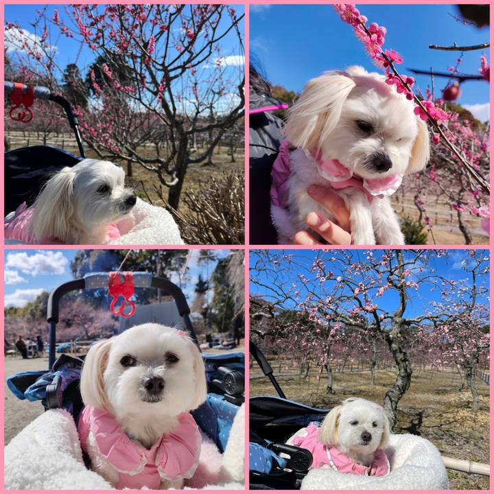 B93019e4 c22f 4950 bf3d e3254e0e5b40 1677396031464