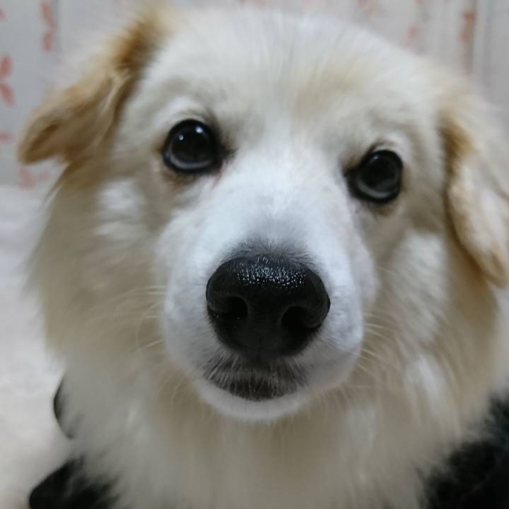 B930415e c487 4c80 9569 859f656f1551 1540156824711