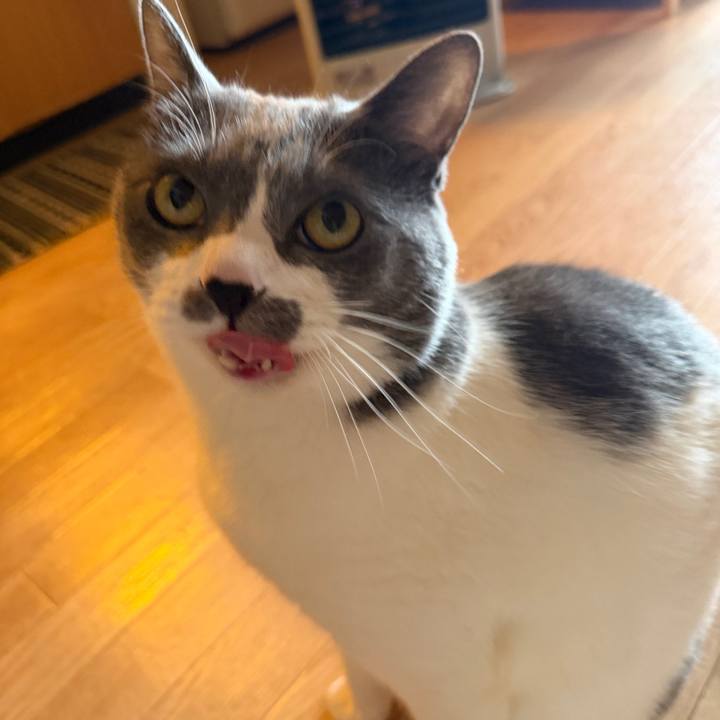 B9304a16 0603 4703 9ba2 b22195ca9db6 1769990363255