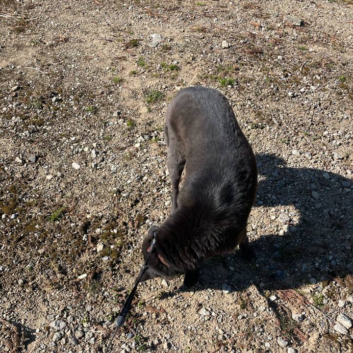 B93067ca 4f65 46b6 9f53 f07cf4cc45b9 1677459510480